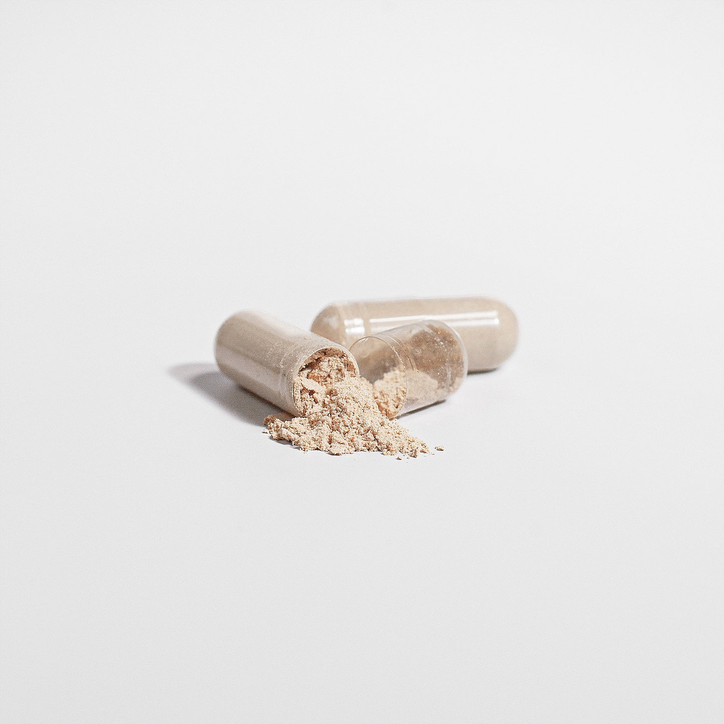 Lion’s Mane: The Brain’s Forgotten Superfuel Ancient Eastern Secret, Now Silicon Valley’s Best-Kept Biohack