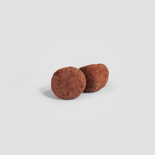 Birch Chaga Truffles Your Gut’s Lost Inheritance, Rediscovered